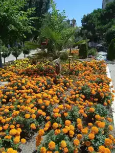 Энергетик - 29