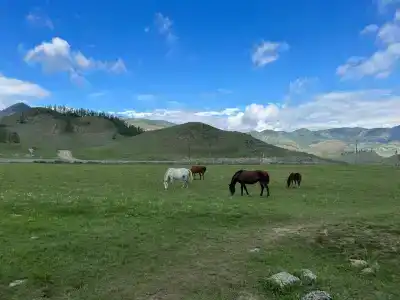 Турбаза Уч-Энмек - 5