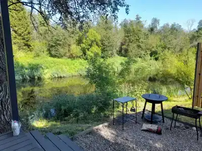 Кроличья нора - 29