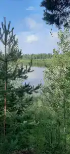 Кордон Донаурово - 45