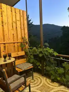 Arevatun Dilijan - 8