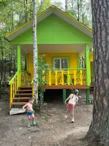 Сосенка - 8