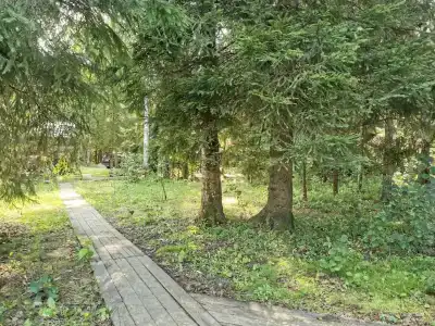 Лесной Дом - 8