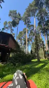 в Сосновом бору - 2