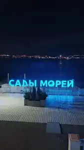 Аир - 42