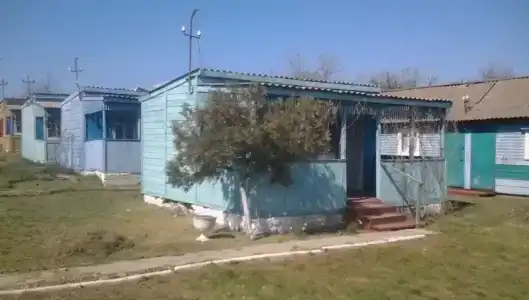 Дружба - 3