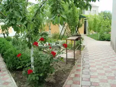 Крым - 19