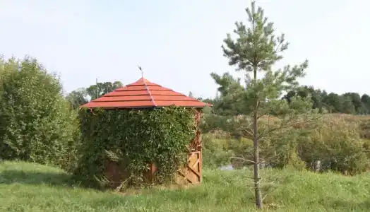 ЭкоМир - 6