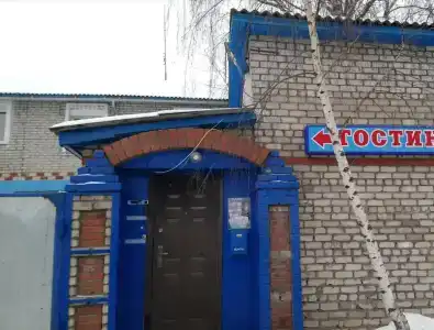 Фиалка - 2