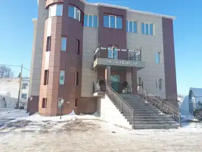 Чайка - 4