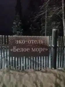 Кедр Грасс Белое Море - 23