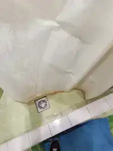 Оазис - 13