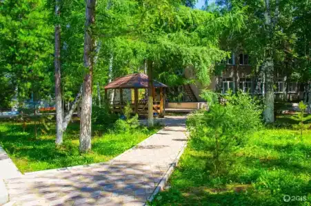 Голубые Ели - 9