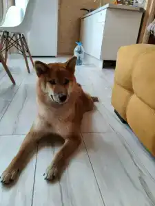 Рай в шалаше - 76