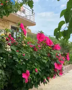 Золотые Пески - 7