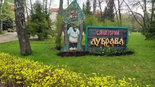 Дубрава - 22