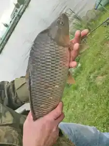 База отдыха у Василича - 60