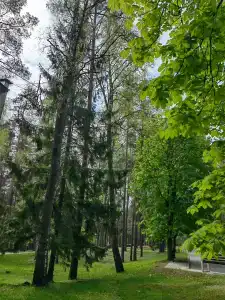 Березина - 2