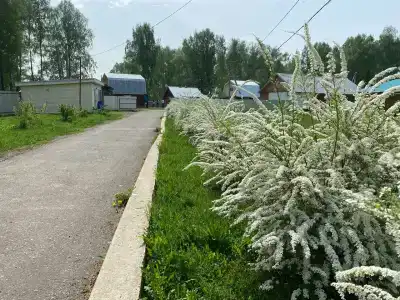 Большая Медведица - 3