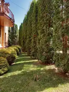Лечебно-реабилитационный клинический центр Курортная больница - 16