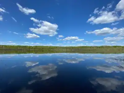 Ветлуга - 35