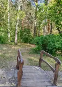 Радуга - 11