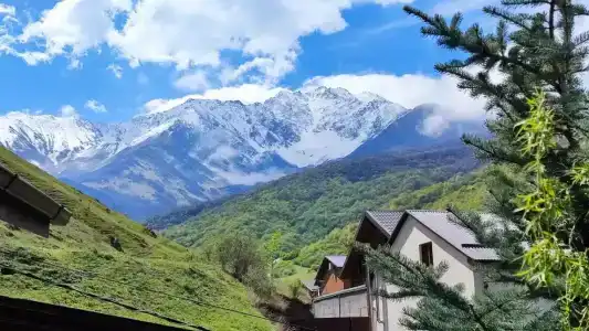 Asta Village - 0