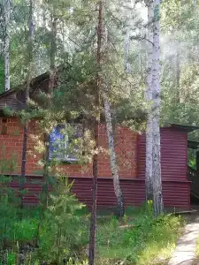 Лесная сказка - 7