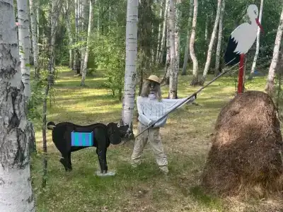 Солнечная поляна - 69