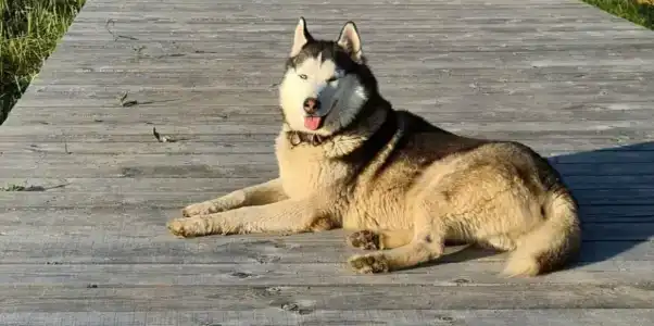 Заповедник - 27