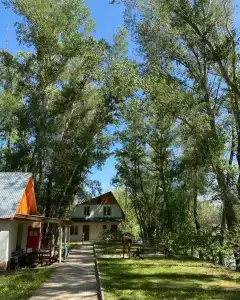 Жемчужина - 55