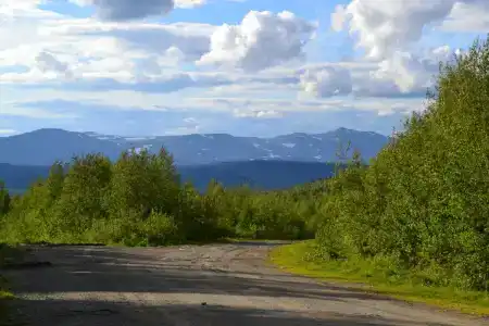 Звезда - 4