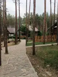 Разгуляево - 39