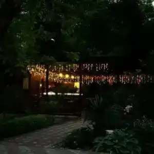 Сосновый Бор - 4