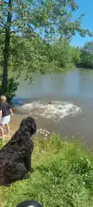 Бояринцево - 76