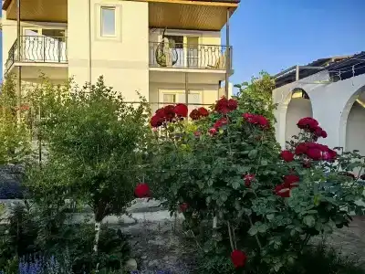 Дельфи - 1