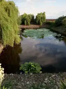 Афродита - 43