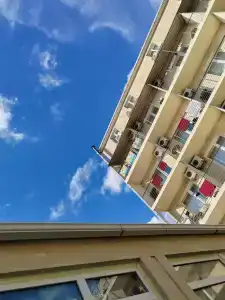 Золотой клён - 40