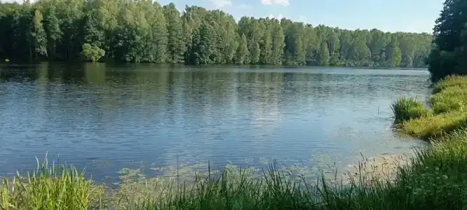 Веселый Роджер - 46