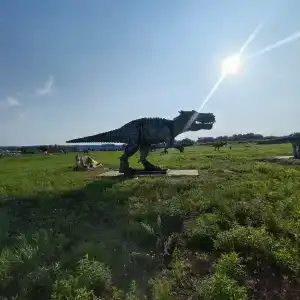 Золотой Город - 54