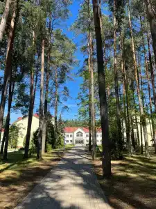 Пралеска - 3