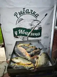 Рыбалка у Иваныча - 74
