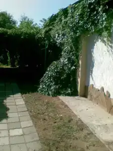 Casa el Mare - 0