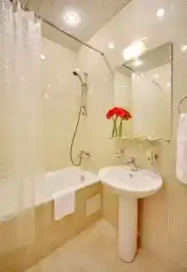 Бристоль - 25