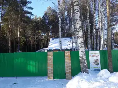 В лесу - 15