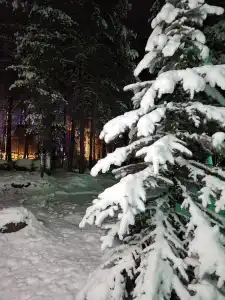 Поворот - 21
