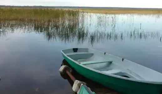 Розовая Дача - 16