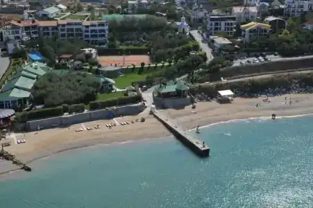 Вязовая роща - 32