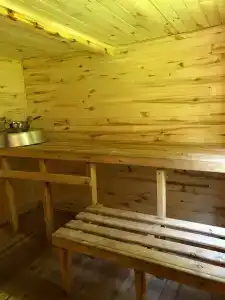 Волшебный лес - 6