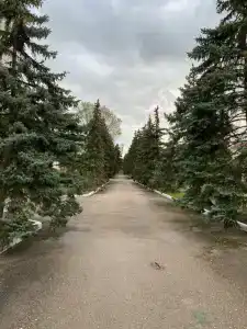 ЦМРСЛ Феодосийский - 17